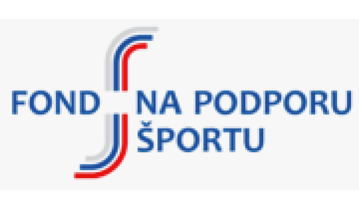 Multifunkčné ihrisko - rekonštrukcia - príspevok získaný z Fondu na podporu športu