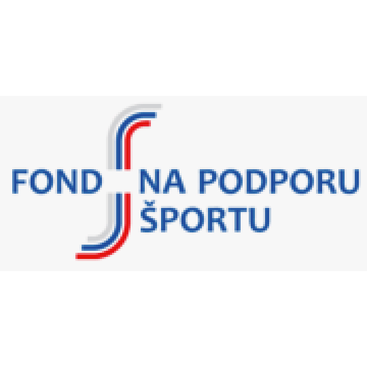 Multifunkčné ihrisko - rekonštrukcia - príspevok získaný z Fondu na podporu športu