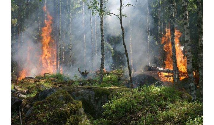 Optarenia na zabezpečenie ochrany lesov pred požiarmi