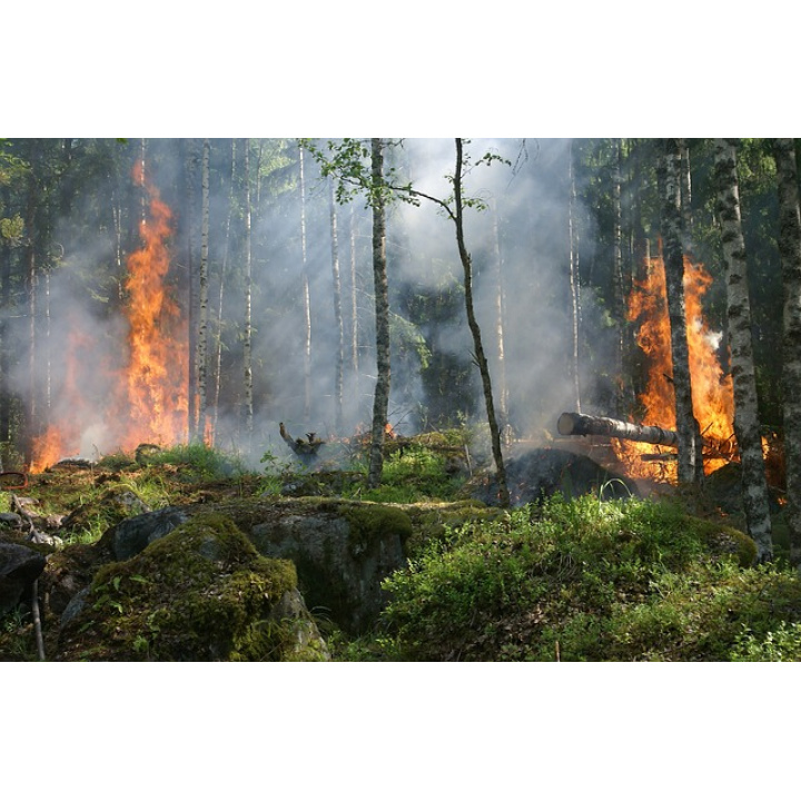 Optarenia na zabezpečenie ochrany lesov pred požiarmi